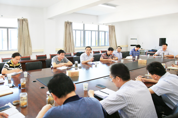 449999白小精准一句话