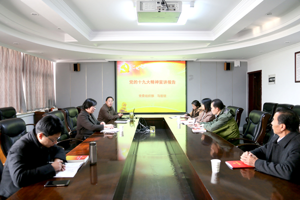 449999白小精准一句话