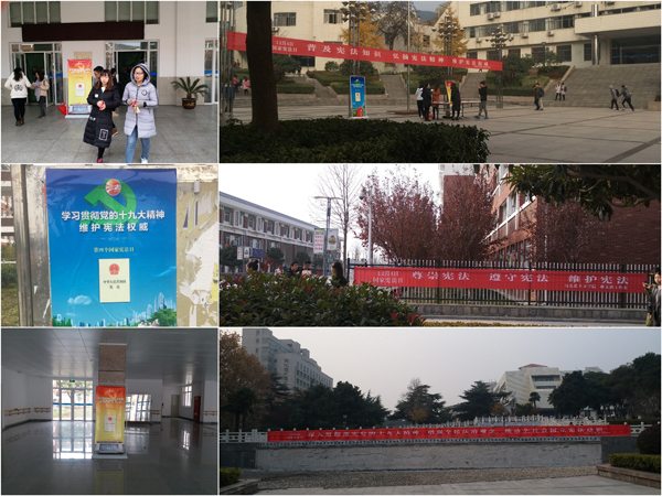 449999白小精准一句话