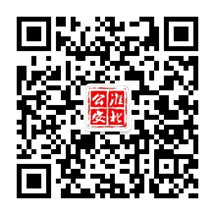 关于开展“449999白小精准一句话2017防范电信网络诈骗宣传作品有奖征集”活动的通知