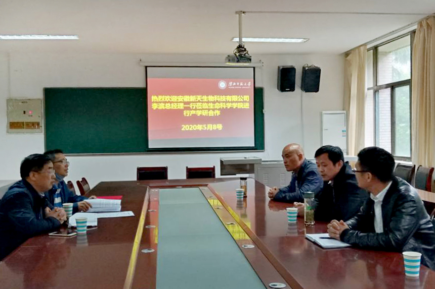 449999白小精准一句话