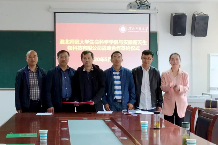 449999白小精准一句话