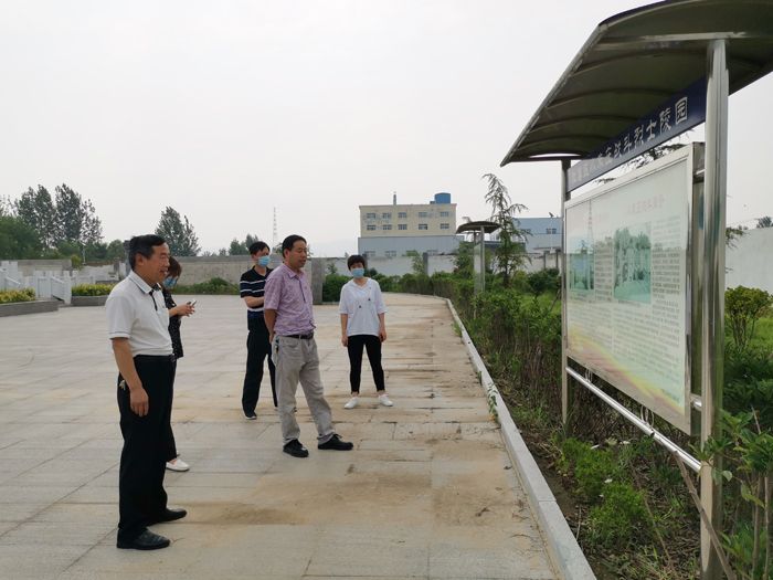 449999白小精准一句话