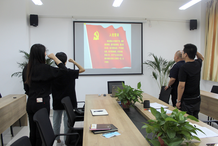 449999白小精准一句话