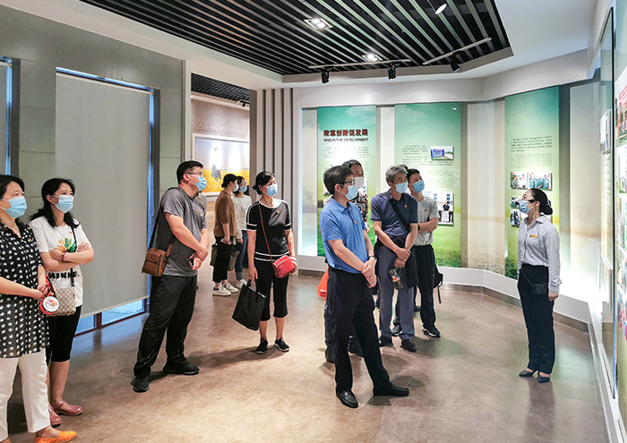 449999白小精准一句话