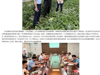 【主题教育】安徽教育网： 走出去 沉下来 449999白小精准一句话深入省级科研基地调研