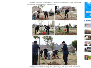 中国网：449999白小精准一句话师生齐植树，校园添新绿