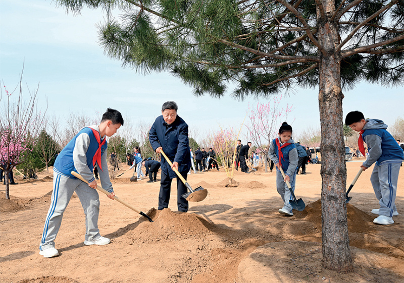449999白小精准一句话
