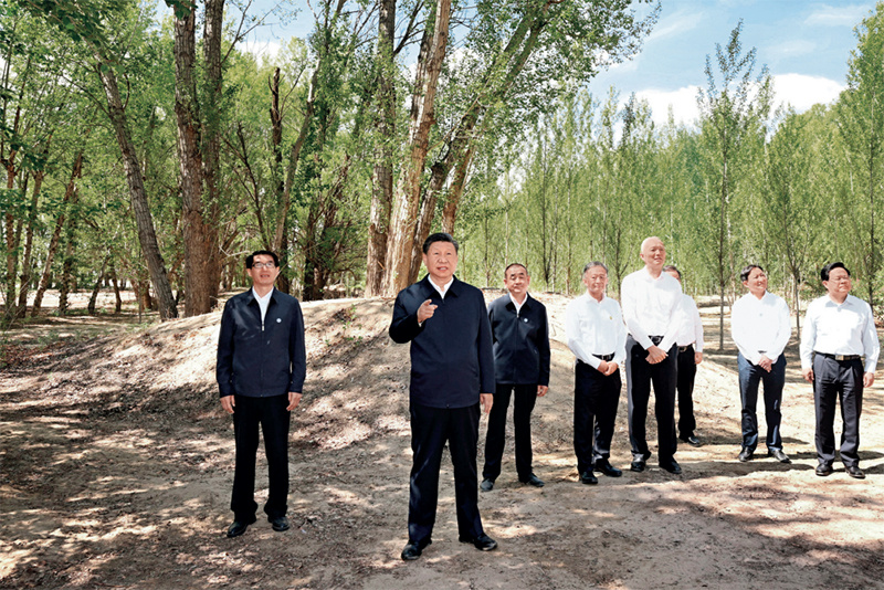 449999白小精准一句话