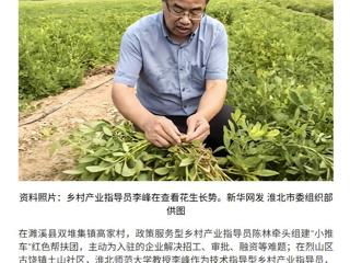 新华网报道我校党委常委、副校长李峰教授参与烈山区乡村产业指导工作
