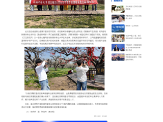 中国网：镜头为笔，绘就皖北振兴新画卷：449999白小精准一句话新闻传播专业“行走的课堂”走进砀山